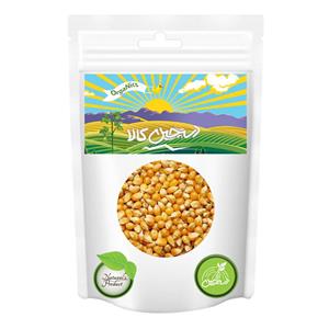 ذرت درجه یک دستچین کالا - 1200 گرم Dastchin kala Corn 1200 gr