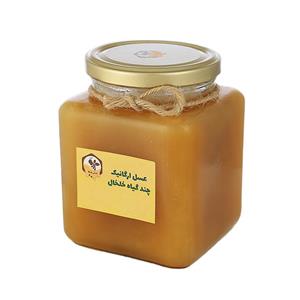 عسل چند گیاه خام پلنگا - 1 کیلوگرم