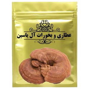 دمنوش قارچ گانودرما -75 گرم ganoderma-75 g 