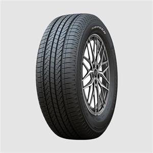 لاستیک کاپسن 245/65/17 گل RS21 [تاریخ 2024]