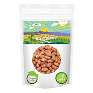 بادام زمینی استانه اشرفیه با طعم نمک دستچین کالا 100 گرم Dastchin kala Peanut gr 