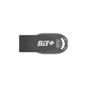 فلش مموری پتریوت مدل BIT-USB 3.2 Gen. 1 ظرفیت 256 گیگابایت