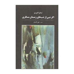 کتاب اگر شبی از شب های زمستان مسافری اثر ایتالو کالوینو انتشارات آگه