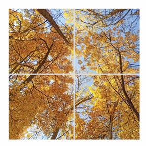 تایل سقفی آسمان مجازی مدل SK-423 سایز 60x60 سانتیمتر مجموعه 4 عددی