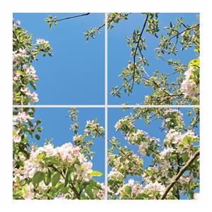 تایل سقفی آسمان مجازی مدل SK-420 سایز 60x60 سانتیمتر مجموعه 4 عددی