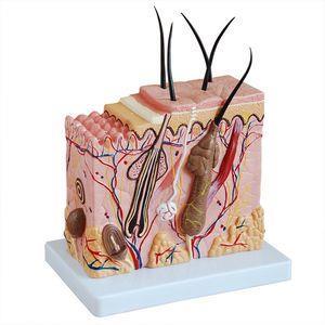 بازی آموزشی طرح مولاژ قطعه پوست مدل CR-313-2