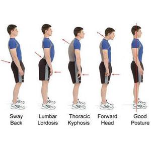 قوزبند طبی Royal Posture 