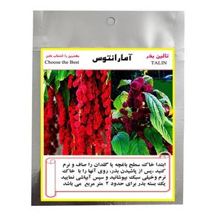 بذر گل آمارانتوس تالین بذر مدل BZT-1002