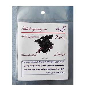 بذر ریحان بنفش تالین بذر کد BZT-022