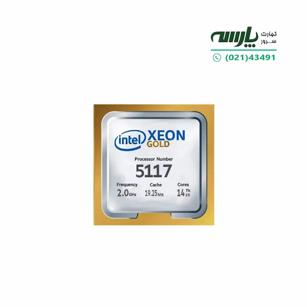 CPU: Intel Xeon Gold 5117 