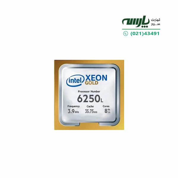 CPU: Intel Xeon Gold 6250
