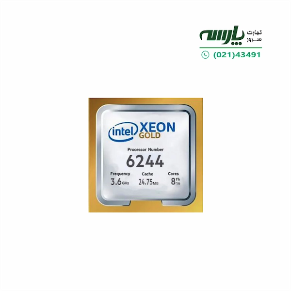 CPU: Intel Xeon Gold 6244