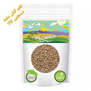 تخم کتان سفید دستچین کالا - 100 گرم