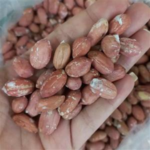 بادام زمینی درجه یک آستانه - 1000 گرم