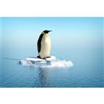 تابلو شاسی مدل پنگوئن و دریا  T7022
