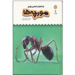 کتاب یک فنجان دانستنی درباره ی مورچه ها اثر لوسی بومن انتشارات نوشته