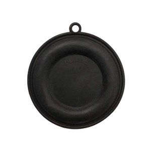 دیافراگم آبگرمکن بوتان مدل B-15