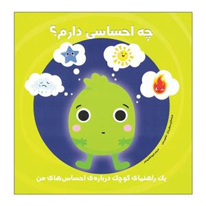 کتاب چه احساسی دارم؟یک راهنمای کوچک درباره‌ی احساس های من اثر سوفی پارکز و شانون بیتی انتشارات راه راه