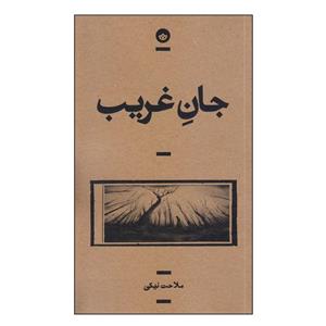 کتاب جان غریب اثر ملاحت نیکی انتشارات بان