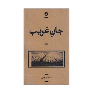 کتاب جان غریب اثر ملاحت نیکی انتشارات بان