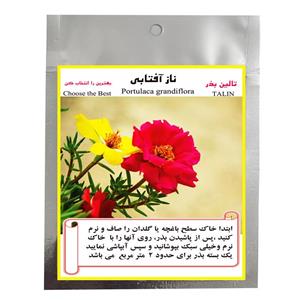 بذر گل ناز آفتابی تالین بذر مدل BZT-1021