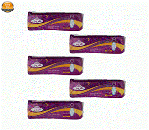نوار بهداشتی گلریز مدل 03 بسته 5 عددی