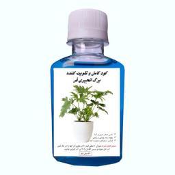 کود کامل گل برگ انجیری فر مدل Fer حجم 120 میلی لیتر