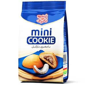 مینی کوکی نارگیلی نادری - 110 گرم بسته 12 عددی