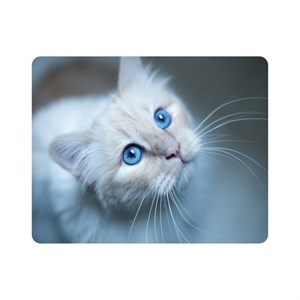 ماوس پد اطلس آبی طرح گربه چشم آبی مدل T1506