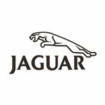 برچسب بدنه خودرو طرح نوین گراف مدل jaguar کد 31