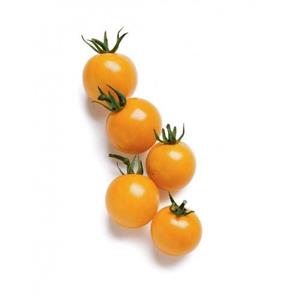 بذر گوجه چری نارنجی درختی Orange cherry tomatoes 