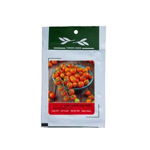 بذر گوجه چری نارنجی درختی - Orange cherry tomatoes 