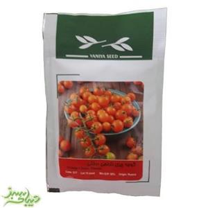 بذر گوجه چری نارنجی درختی Orange cherry tomatoes 