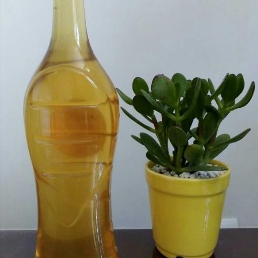 شربت سکنجبین