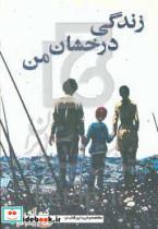 کتاب زندگی درخشان من اثر کیم آئه ران انتشارات دانش آفرین