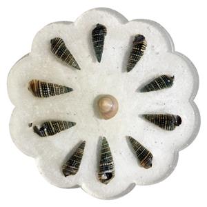 زیر لیوانی رزینی مدل صدف دریایی کد 101