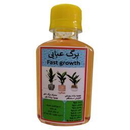 کود مایع مکمل رشد گیاه برگ عبایی مدل Super Power 06 حجم 120 میلی لیتر