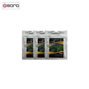 مجموعه بذر مریم گلی گلباران سبز بسته 3 عددی Golbaranesabz Common Sage Seeds Pack Of 3