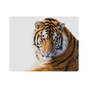 ماوس پد اطلس آبی طرح ببر  مدل T2159
