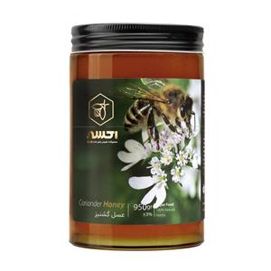 عسل اکسیر گشنیز -950 گرم Exir coriander Honey -950gr