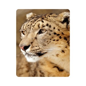 ماوس پد اطلس آبی  طرح پلنگ مدل T2149