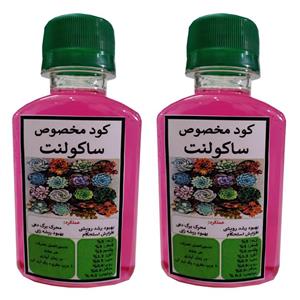 کود مایع محرک رشد ساکولنت مدل Super powerحجم  120 میلی لیتر بسته دو عددی