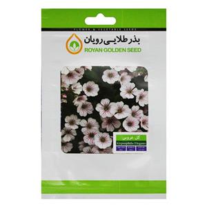بذر گل عروس بذر طلایی رویان کد BZTR-041