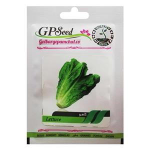 بذر کاهو گلبرگ پامچال کد GPF-123