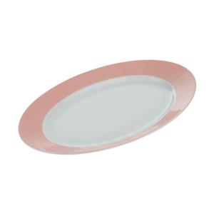 دیس چینی زرین ایران مدل C-42