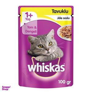 غذای گربه بالغ ویسکاس مدل Adult -Chicken وزن 100 گرم