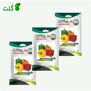 بذر فلفل دلمه ای رنگی گلبرگ پامچال کد GPF-161