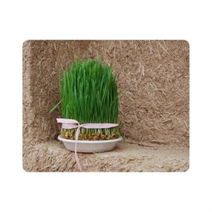 ماوس پد اطلس آبی طرح دیوار کاهگلی و سبزه عید نوروز مدل T1560