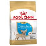 غذای خشک سگ رویال کنین مدل Chihuahua Puppy وزن 1.5 کیلوگرم