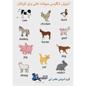بازی آموزشی انگلیسی اطلس آبی طرح حیوانات اهلی مدل TE1011